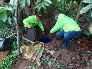 Caleta con armas del Clan del Golfo