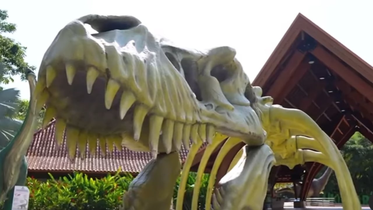 ‘Ukumarí’: el bioparque que conecta naturaleza y conservación en Colombia