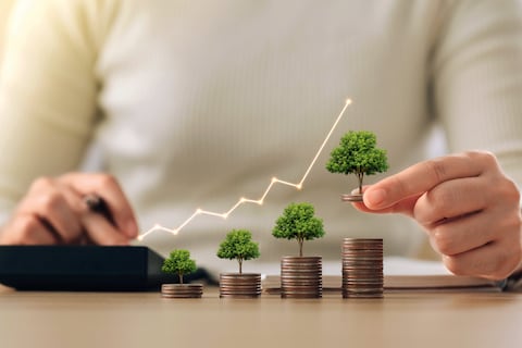 Así están los mercados de carbono en Colombia.