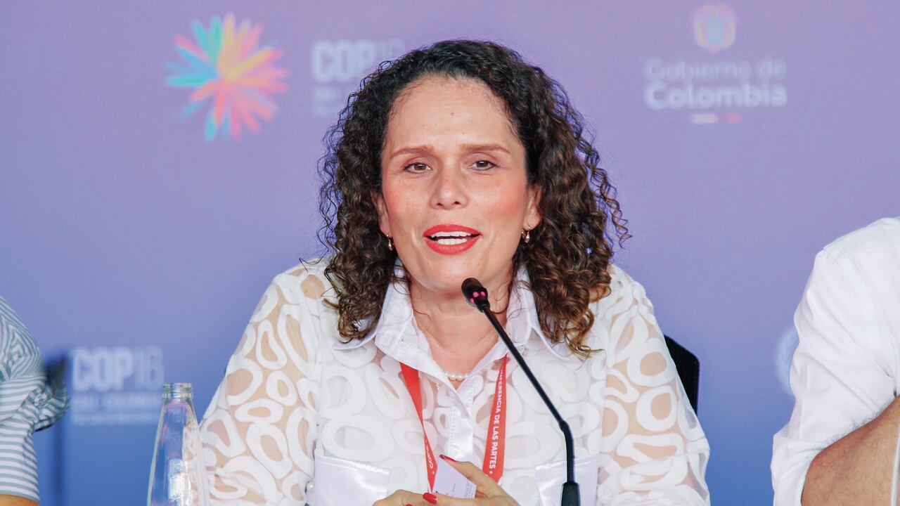 María Constanza García, ministra de Transporte