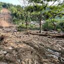 Tragedia en Pereira: 15 muertos y desaparecidos por derrumbe, entre ellos dos niños.