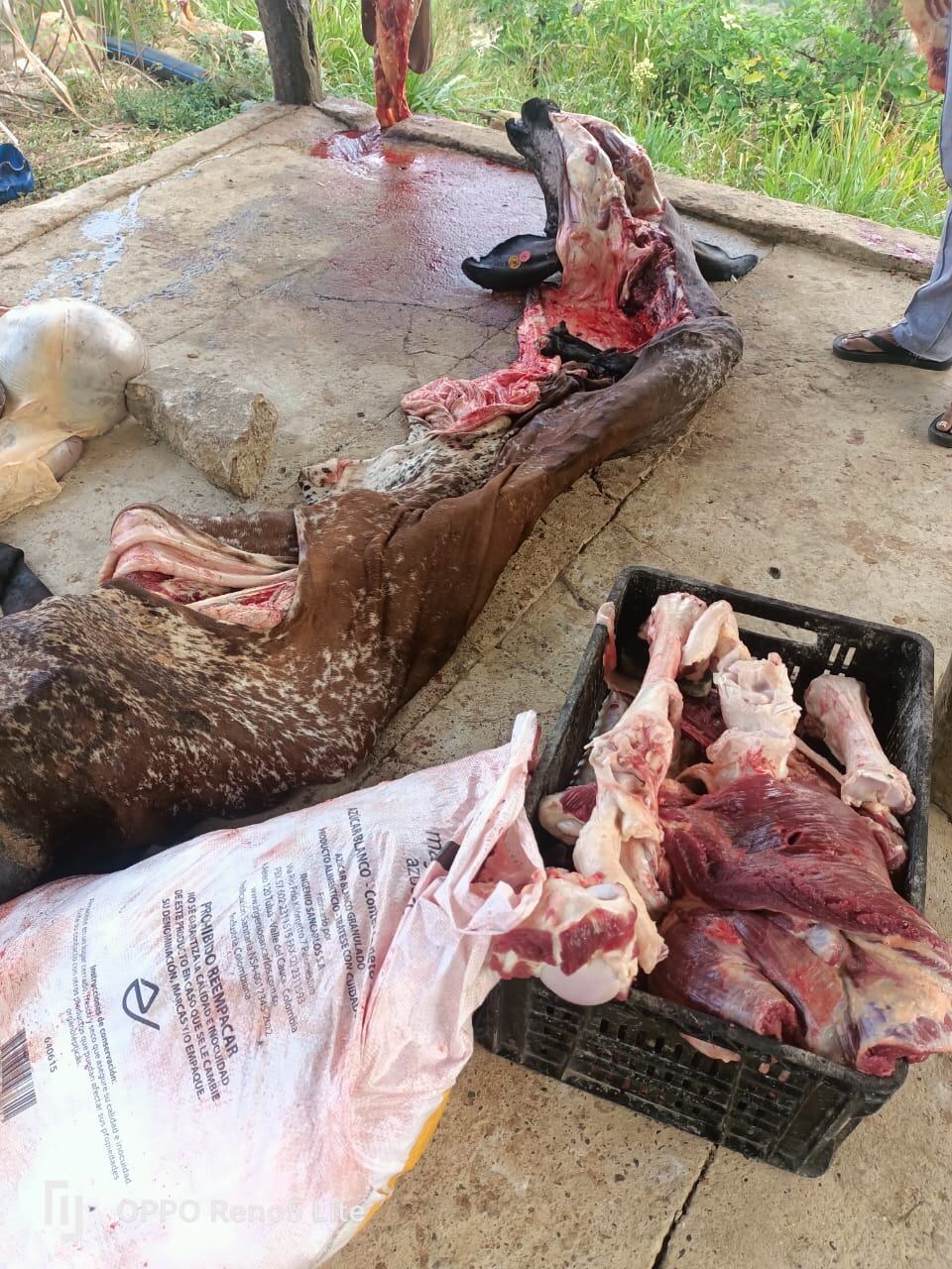 La carne no estaba en condiciones sanitarias óptimas.