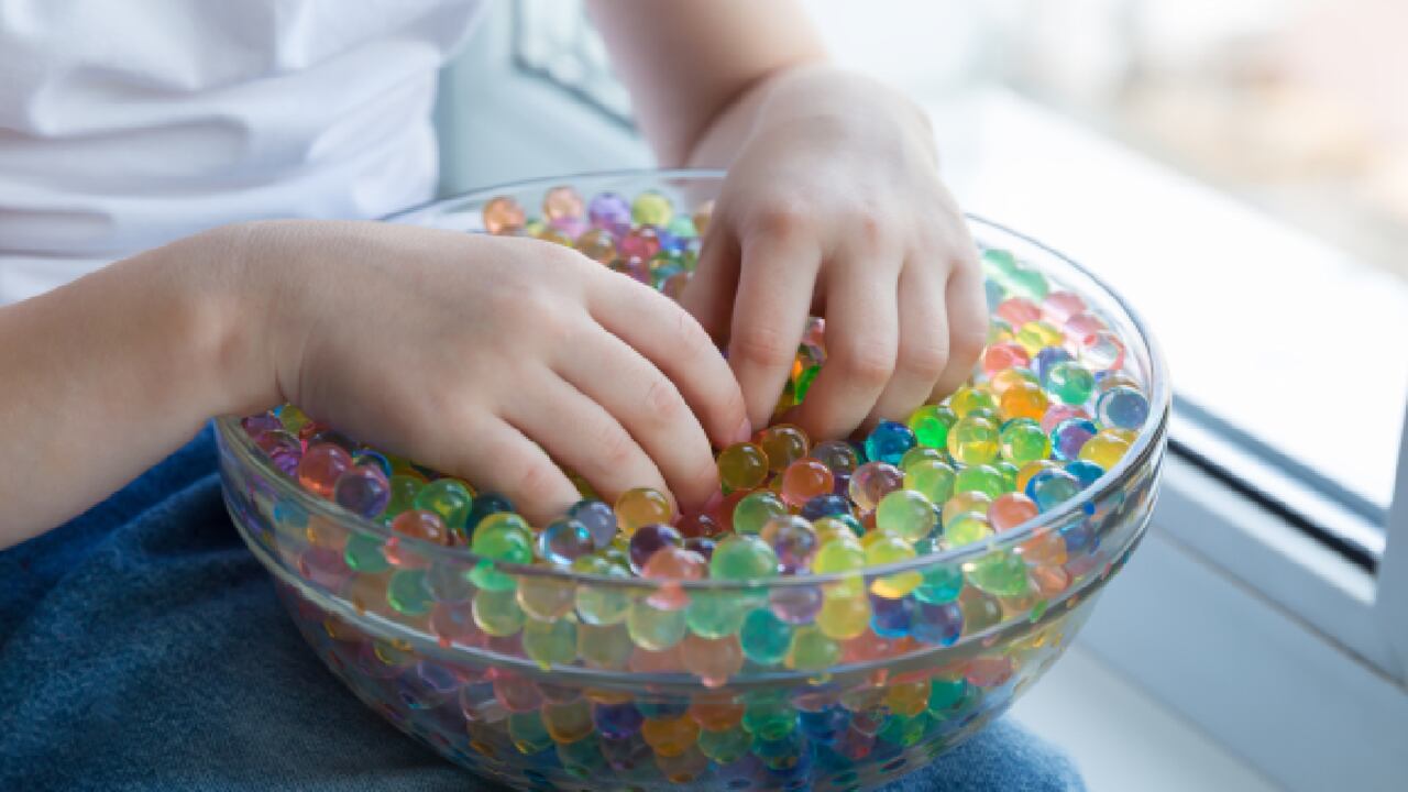 Familia en Estados Unidos advierte sobre los peligros de las 'bolas de gel' usadas en la jardinería.