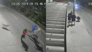 El perro se convirtió en todo un héroe.