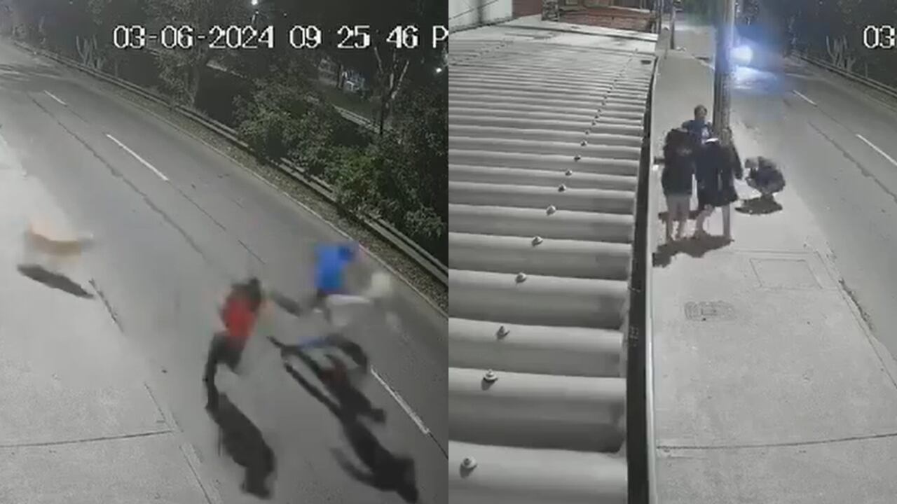 El perro se convirtió en todo un héroe.