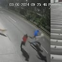 El perro se convirtió en todo un héroe.