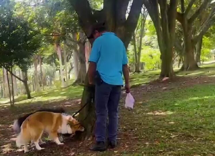 Estas son las millonarias multas que deberá pagar si lo captan botando basura en las calles de Cali.
