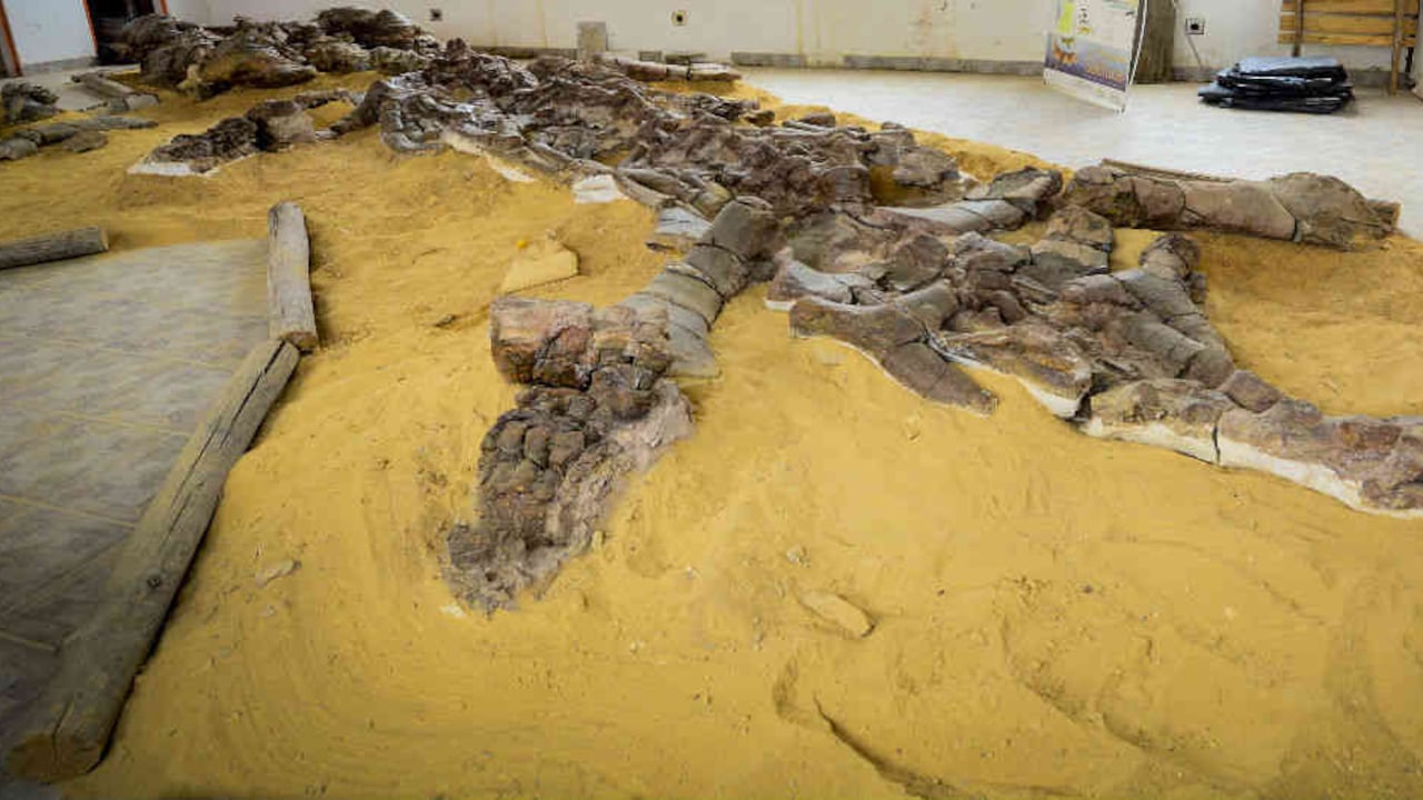 Cortesía: Nicolás Bojacá - Unimedios