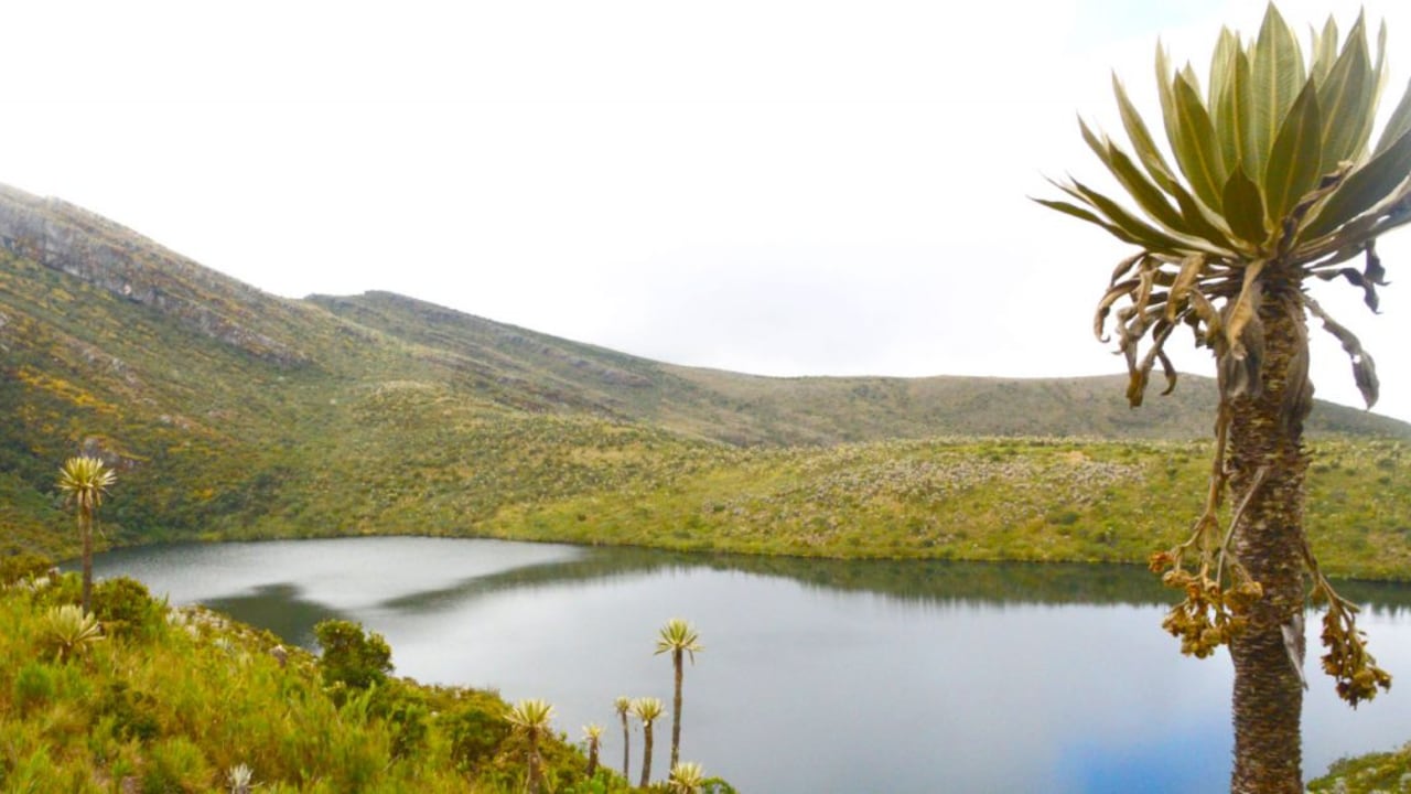La escuela del agua formará agentes medioambientales de Bogotá y Cundinamarca.