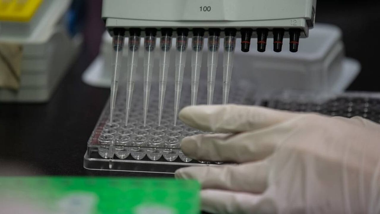 Coronavirus: la conclusión de EE.UU. sobre la aparición del brote/Foto: archivo SEMANA