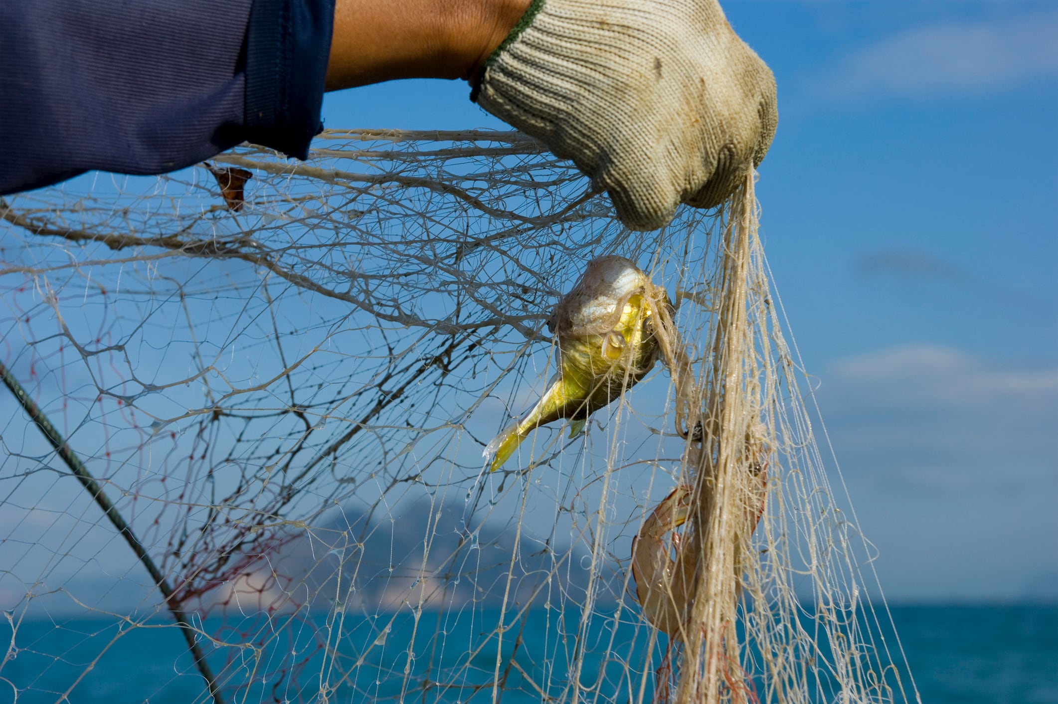 La pesca con atarraya es uno de los planes para hacer en La Virginia. (Foto de referencia).