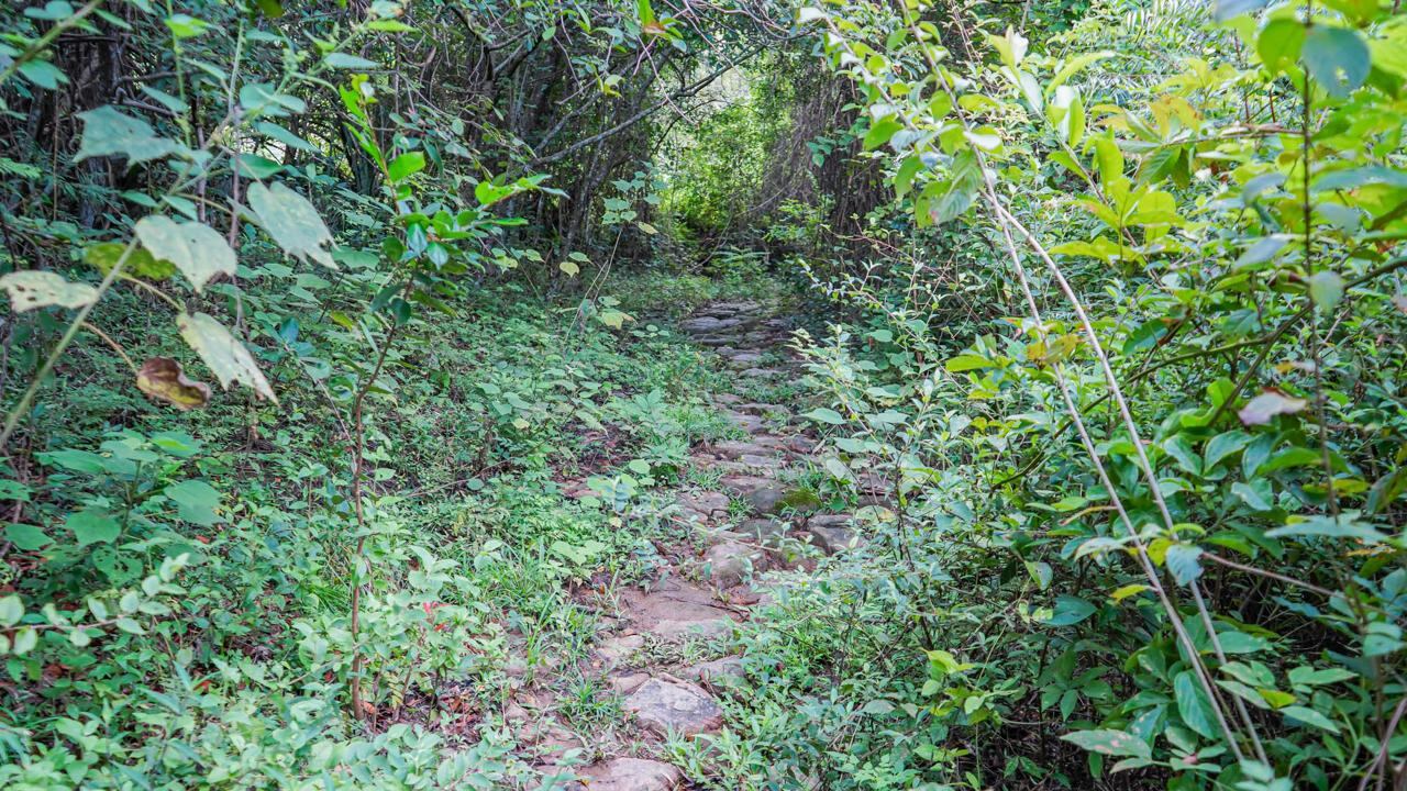Palermo es un municipio del Huila que vale la pena conocer.