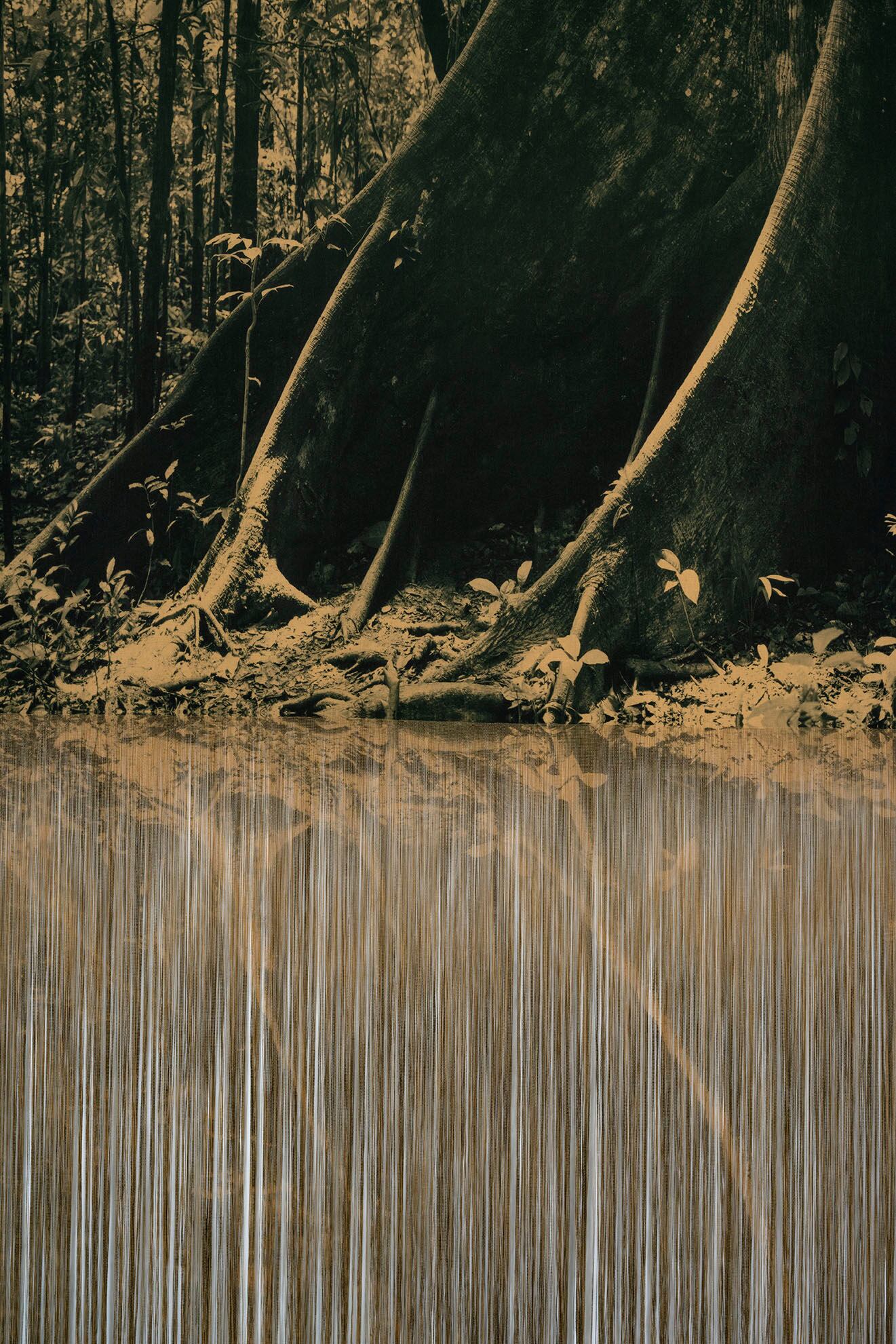 Obra 'La Ceiba', detalle