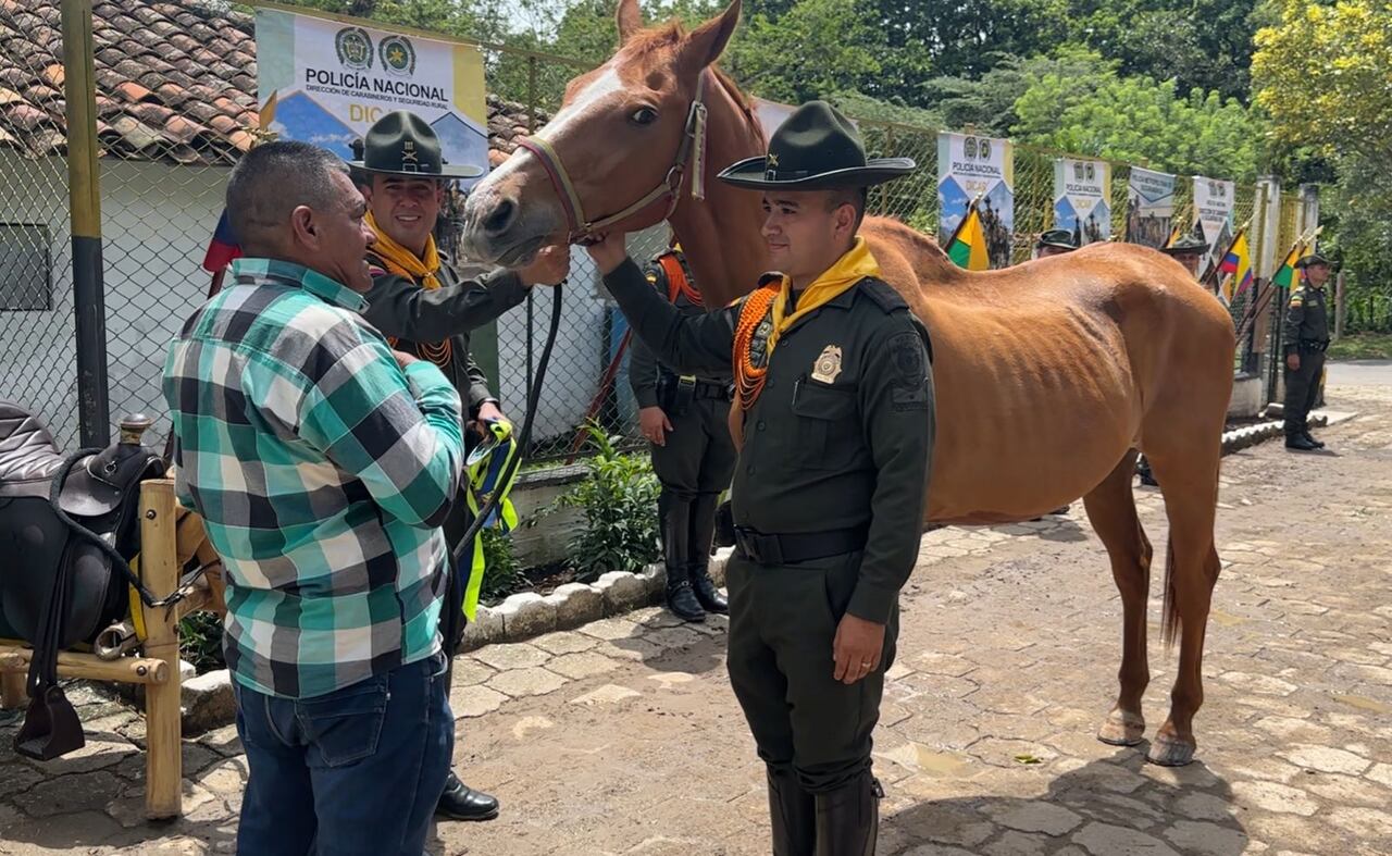 El caballo Gamazon fue entregado a una familia particular.