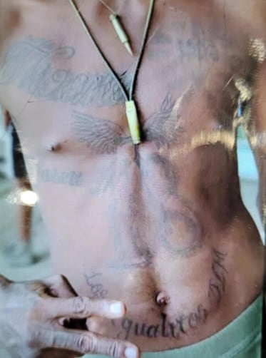 “14/03: USBP en El Paso, TX arrestó a un colombiano que intentaba ingresar al país ilegalmente. Los agentes buscaron al sujeto y encontraron fotos de personas torturadas en su teléfono. También tenía tatuajes específicos que indicaban su pertenencia a una pandilla (Clan del Golfo)”, indicó el jefe Owens en su publicación.