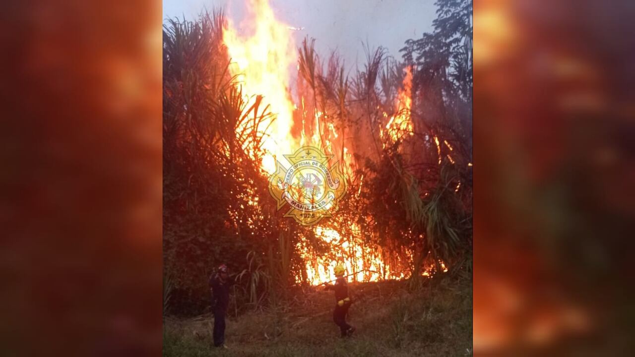Las altas temperaturas han generado varios incendios de cobertura vegetal en Caldas