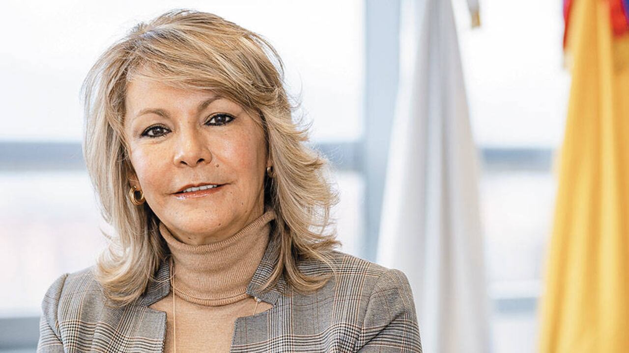 Soraya Vargas, contralora delegada de Investigaciones y Juicios Fiscales. La contralora delegada cree que un sistema de control preventivo podría ayudar a defender mejor el patrimonio público.