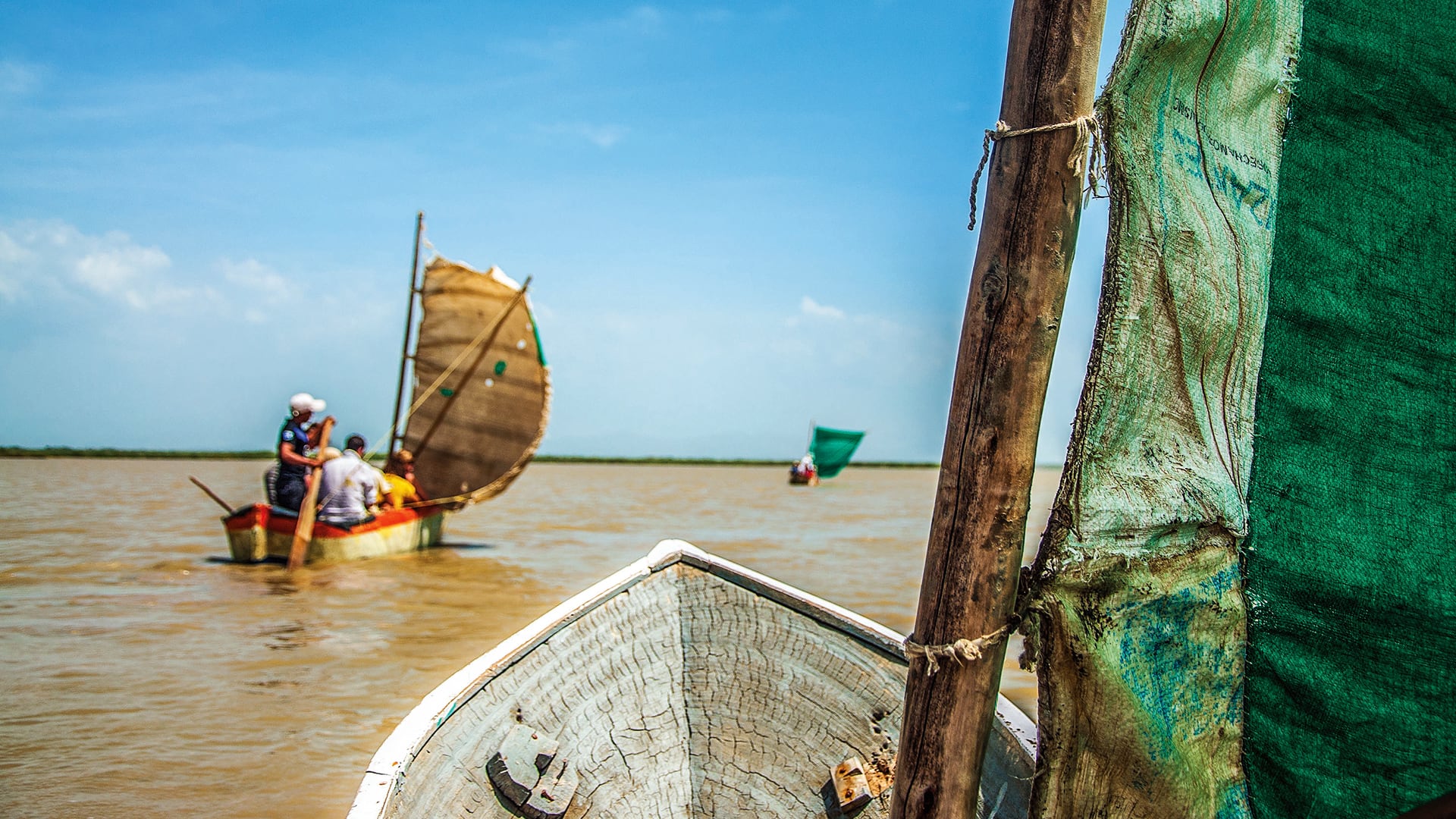 Especial Caribe, Daniel Páez, Camarones