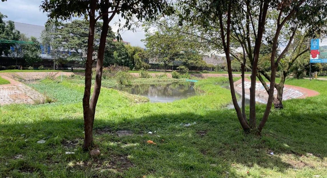 Las visitas de inspección se realizaron en la quebrada La Salitrosa, un brazo del humedal Juan Amarillo, el canal Salitre y un brazo del humedal Jaboque