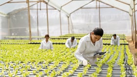 Innovación en el campo.