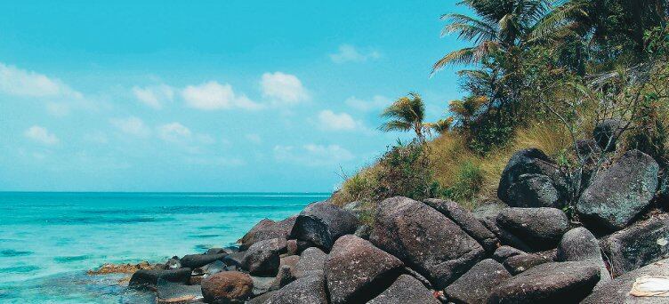 En Publicaciones Semana es importante no sólo la producción de contenidos relacionados con el medio ambiente, sino la difusión de la información a través de diferentes espacios.