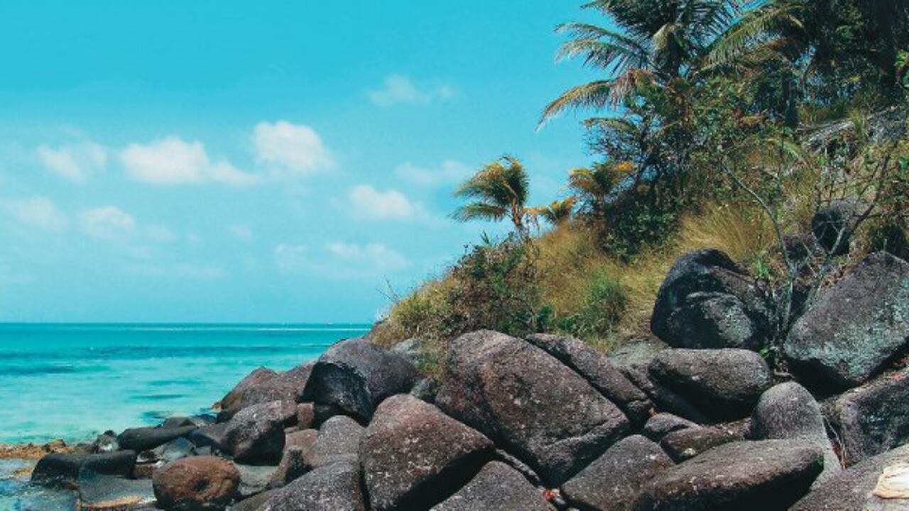 En Publicaciones Semana es importante no sólo la producción de contenidos relacionados con el medio ambiente, sino la difusión de la información a través de diferentes espacios.