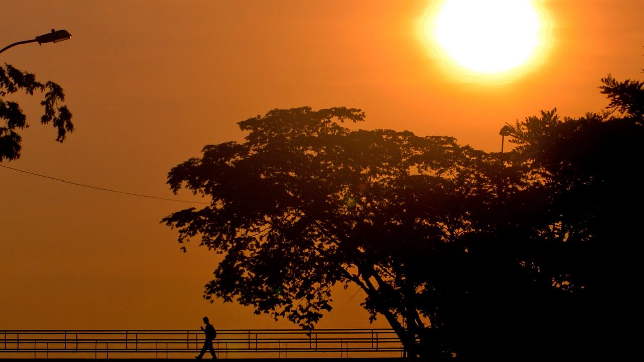 Un estudio revela que el calor extremo se incrementó 41 días en 2024.
