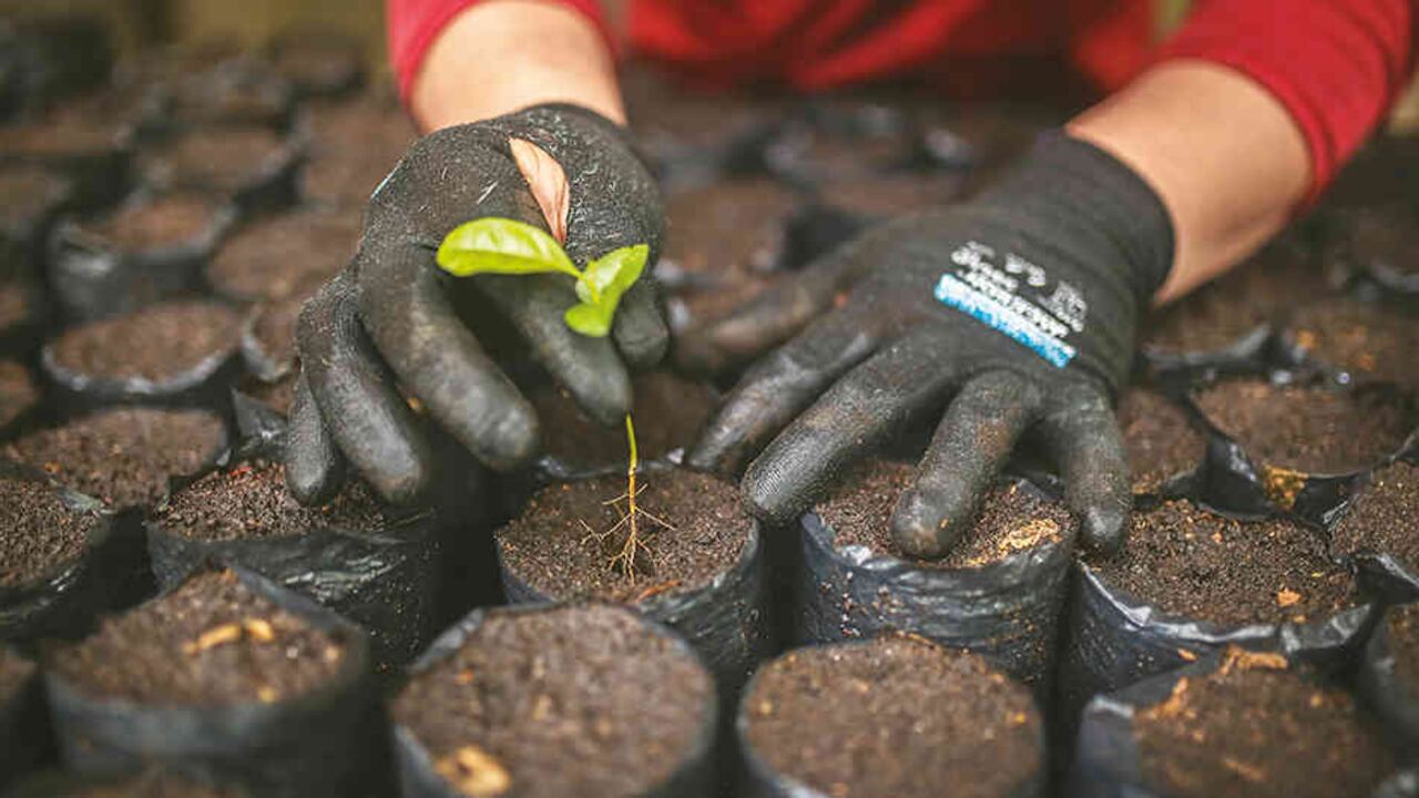 Con la hidrosiembra se recupera, en poco tiempo, el paisaje degradado.