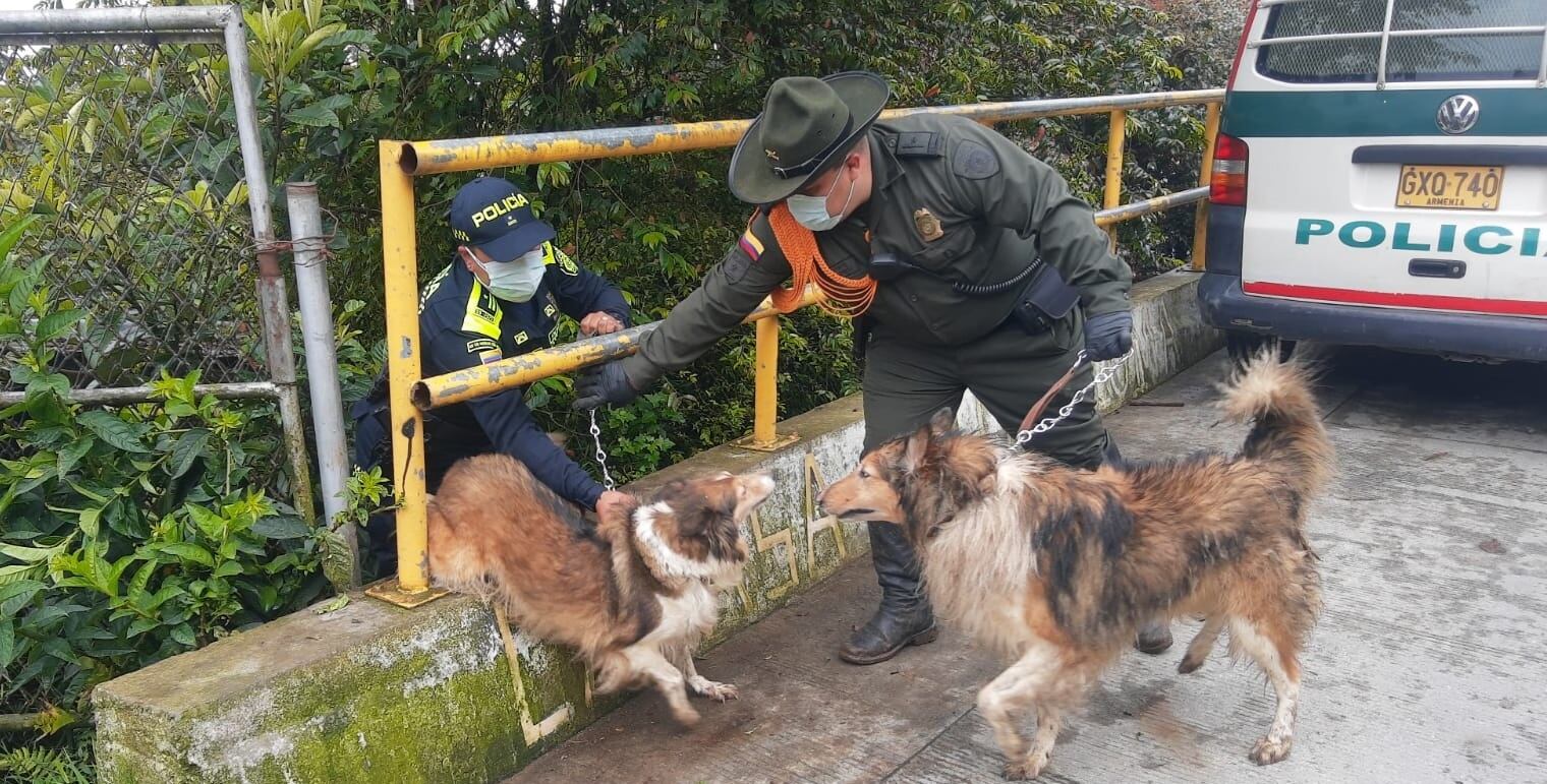el propietario del lugar solo se presentaba cada dos semanas para brindarles alimentación y agua