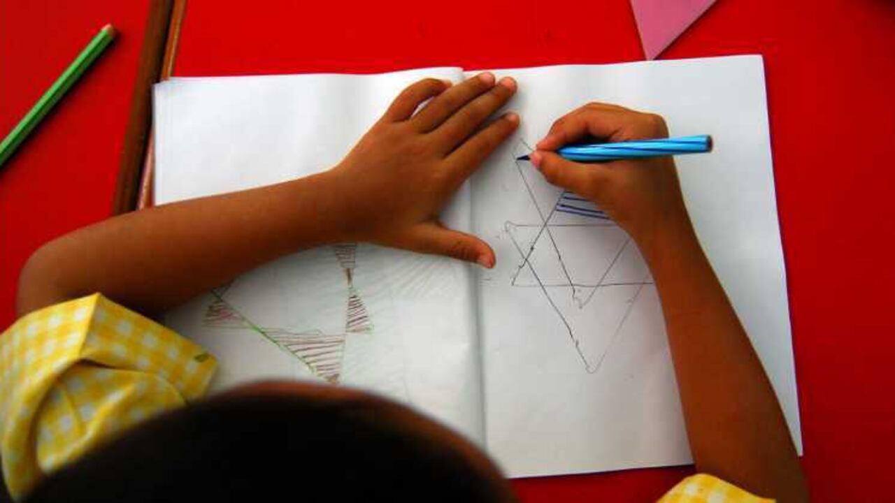 Mientas Colombia sigue presentando unas cifras de natalidad a la baja, el sector de jardines infantiles sigue trabajando para lograr acomodarse a estas nuevas dinámicas de consumo.