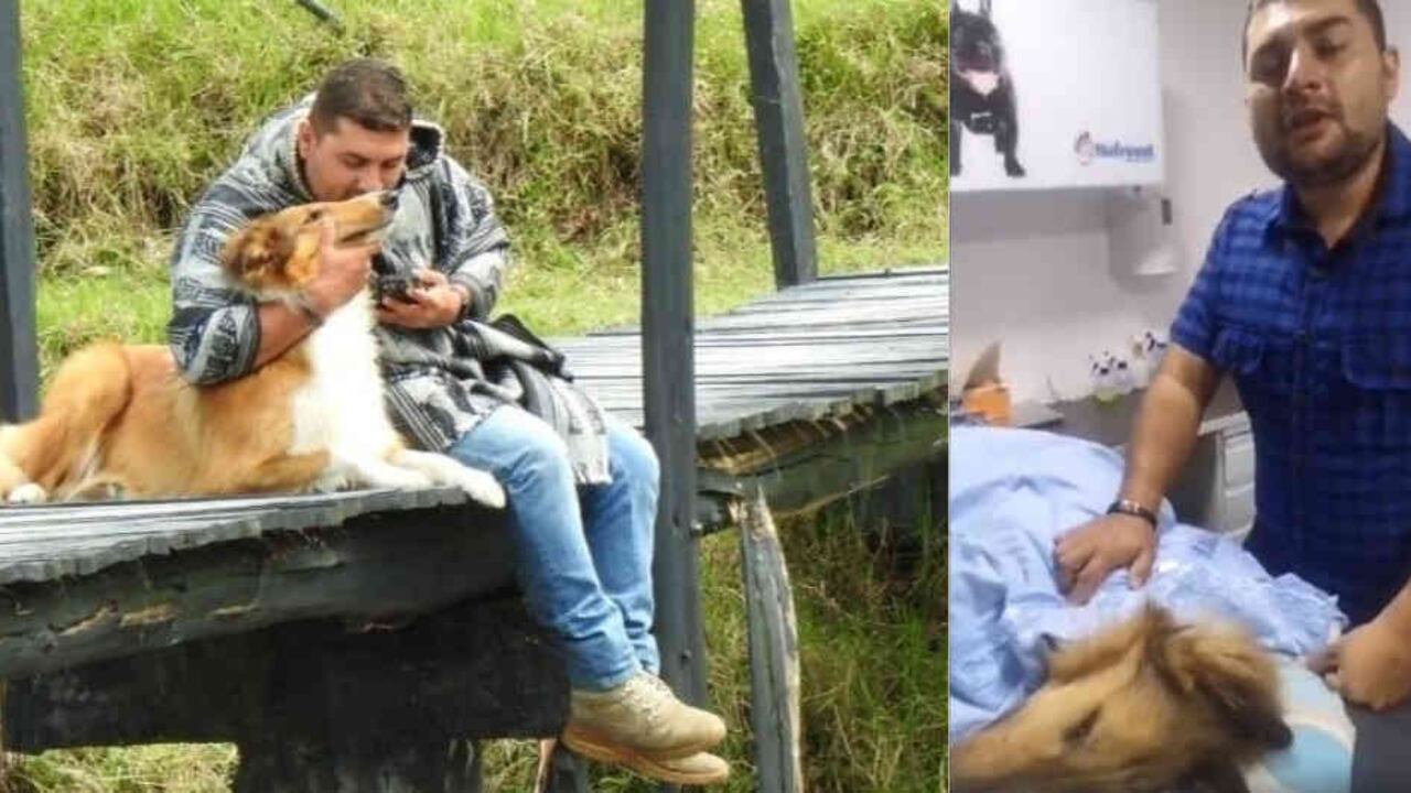 “Por favor amen a los animales” es el mensaje final de Daniel y su mamá.