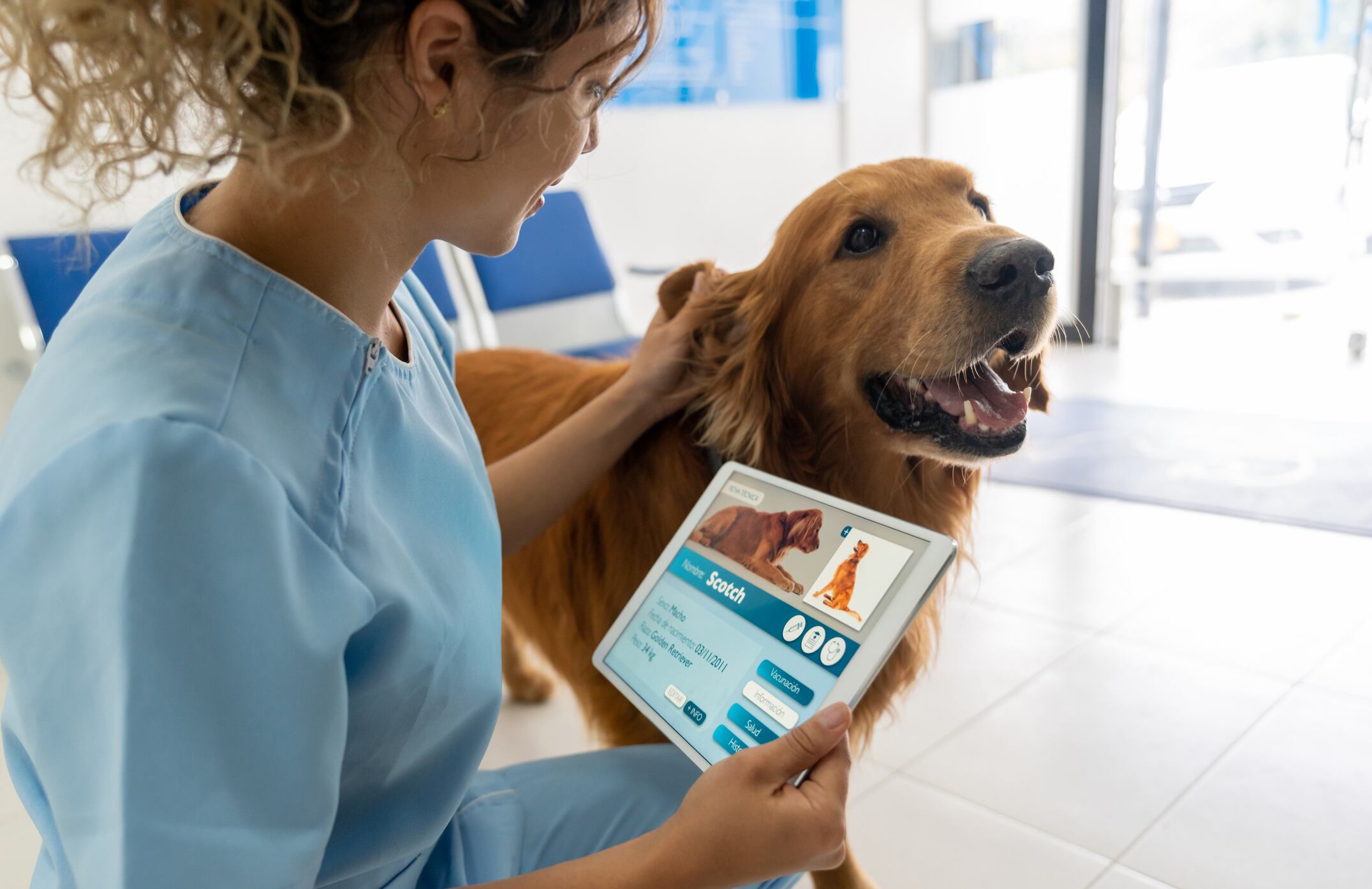 Nuevos dispositivos inteligentes permiten monitorear la salud de las mascotas.