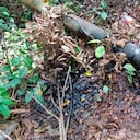 Atentado con explosivos contra empresa de extracción de hidrocarburos en Cúcuta; habría sido víctima de amenazas y extorsión