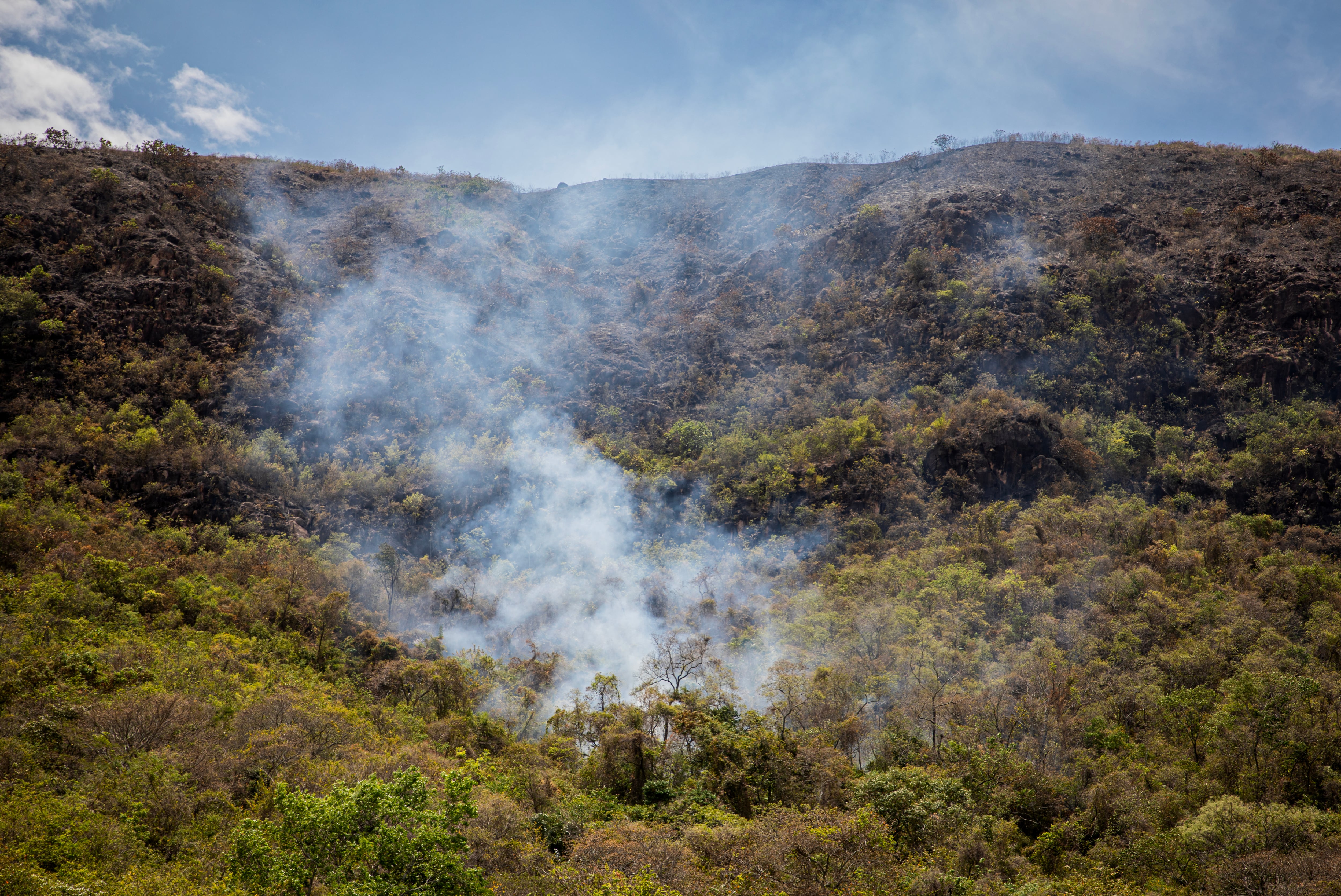 INCENDIOS FORESTALES EN EL DEPARTAMENTO DEL TOLIMA