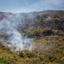 INCENDIOS FORESTALES EN EL DEPARTAMENTO DEL TOLIMA