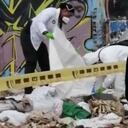 Las diligencias fueron adelantadas por el CTI, a la altura de la diagonal 40 B sur con carrera 89 A, del barrio Patio Bonito.