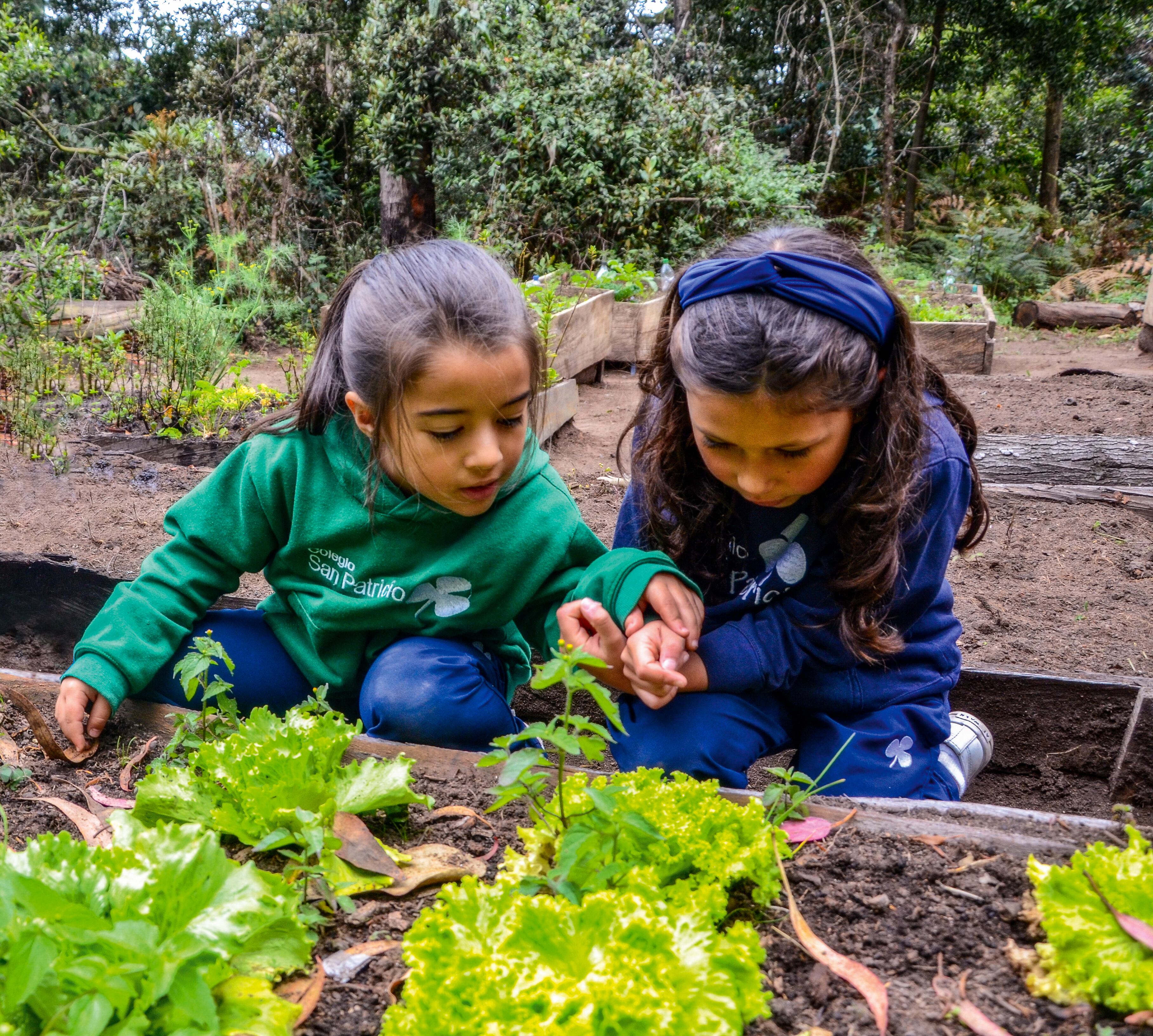 El Colegio San Patricio de Bogotá incorporó la Agenda 2030 de los ODS a la institución y a su currículo pedagógico.