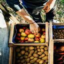 Inflaciones básicas del Banco de la República siguieron bajando