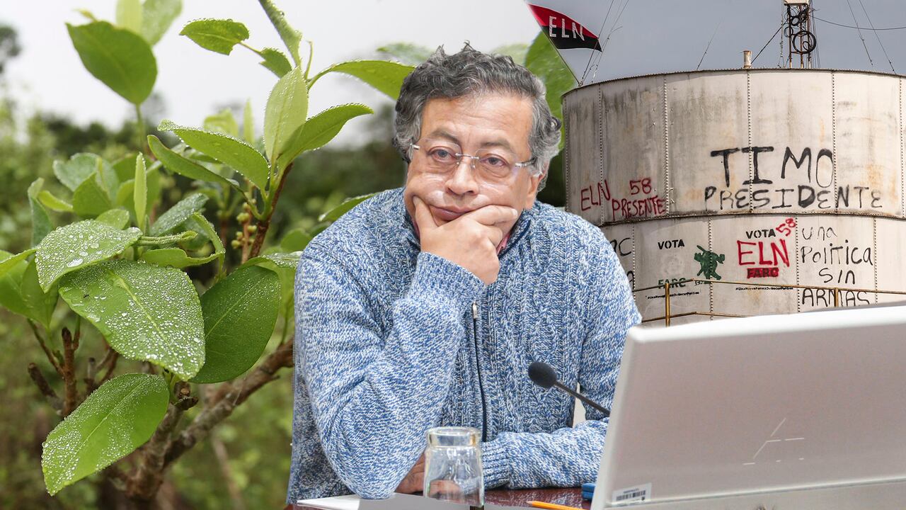 Gustavo Petro hoja coca Catatumbo