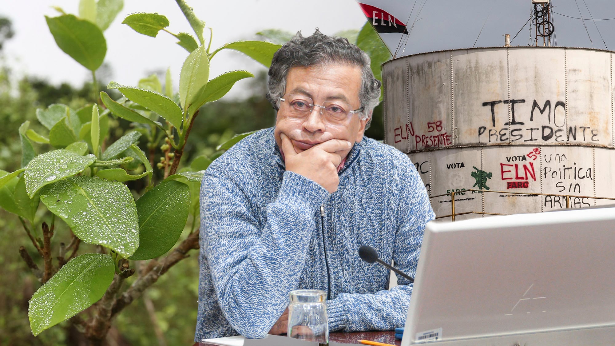 Gustavo Petro hoja coca Catatumbo