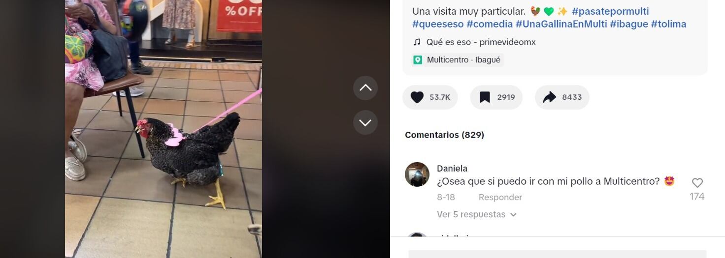 Gallinas en centro comercial