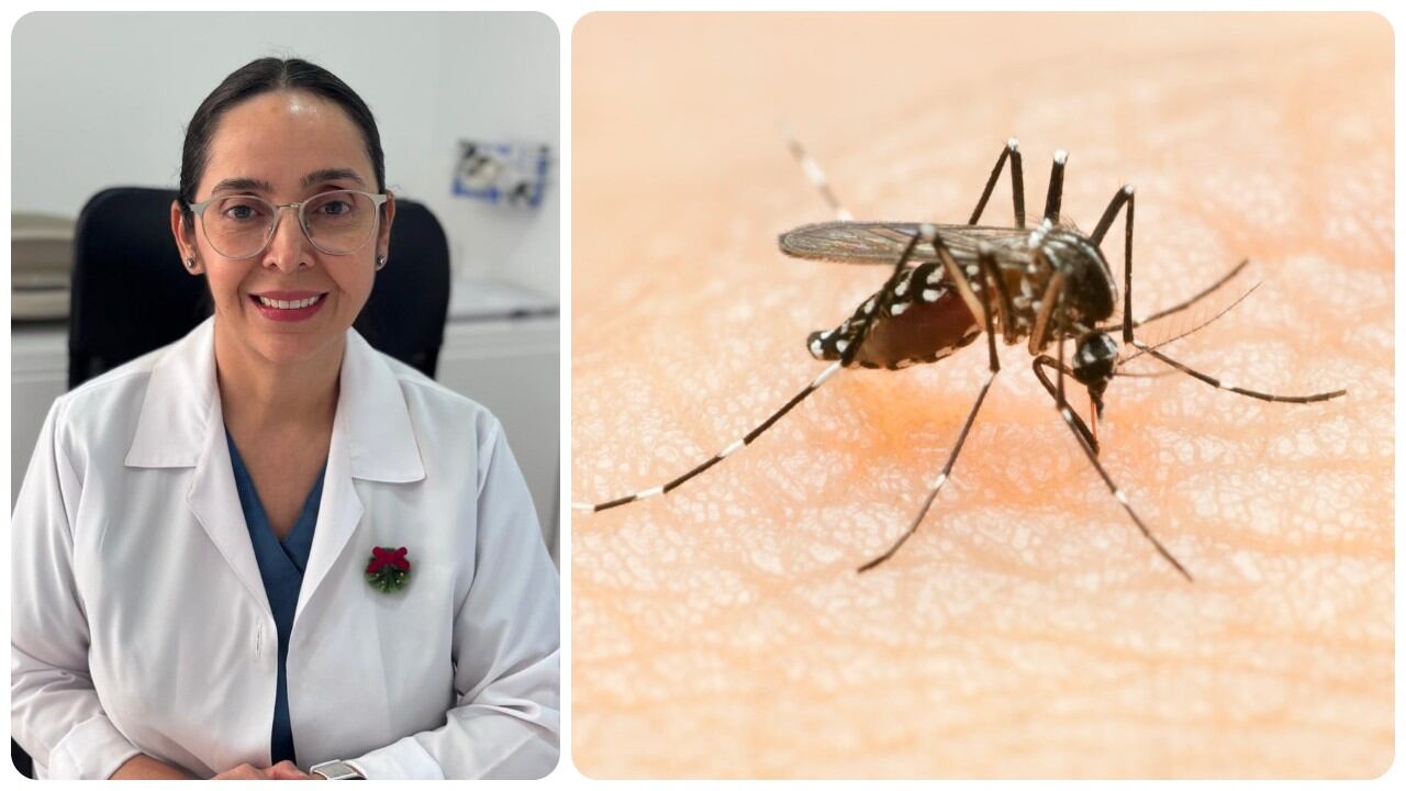 La doctora Mónica Tovar habla del dengue en esta época de vacaciones.