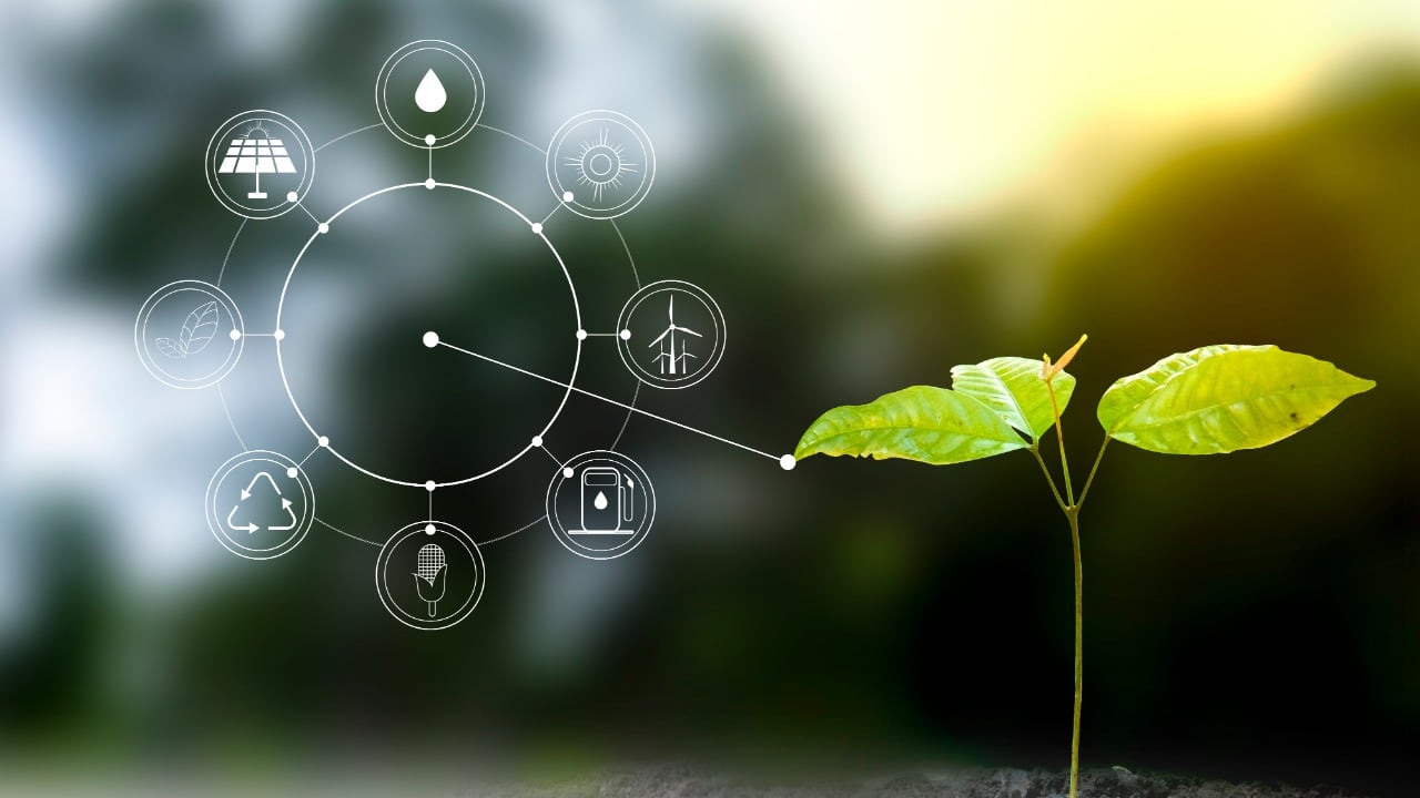 La importancia de las energías renovables en Colombia