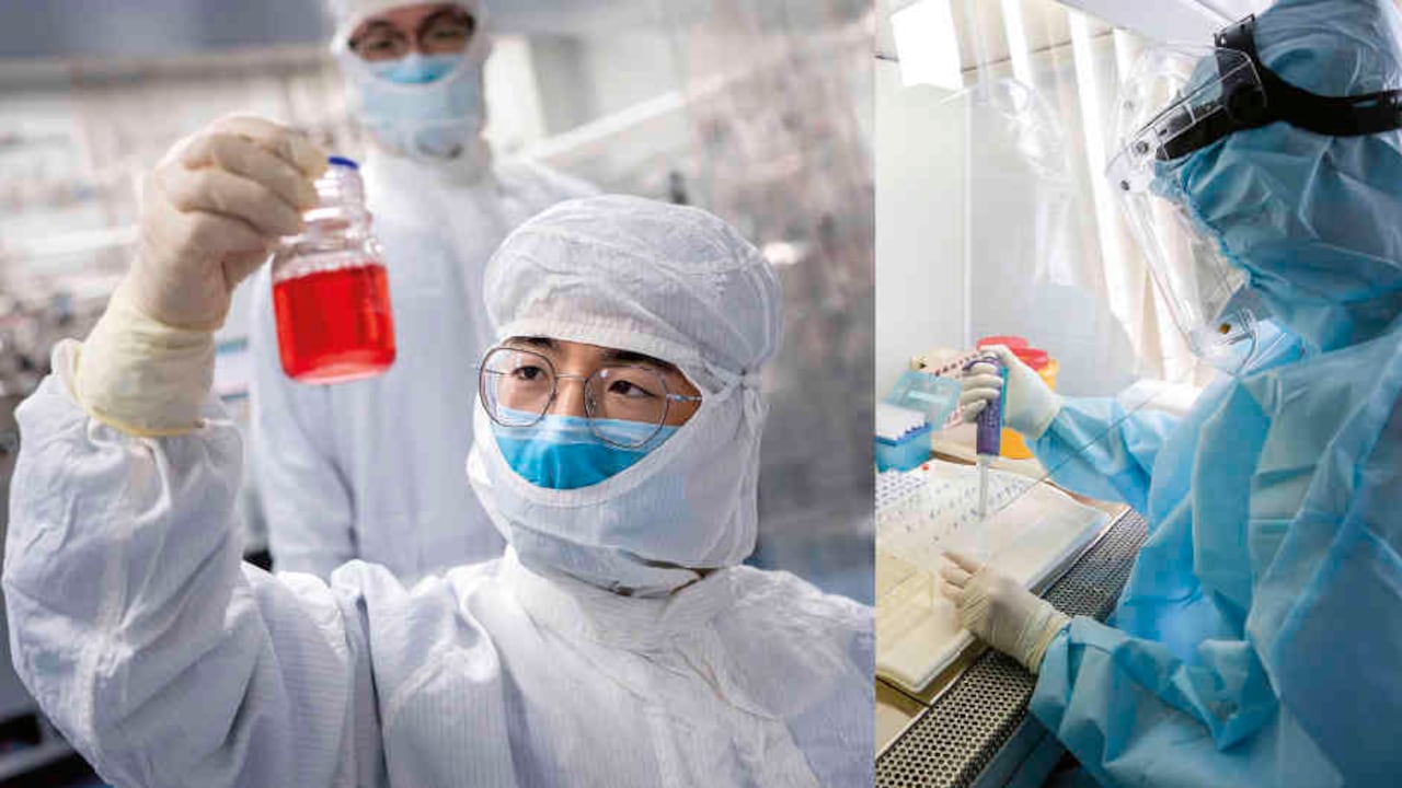 Cuatro vacunas están en la fase 3 de los ensayos clínicos, la última etapa antes de que las apruebe la FDA. Una producida por la estadounidense Moderna; otra por la Universidad de Oxford y AstraZeneca, en Reino Unido; una más por la alemana CureVac y la de Sinovac Biotech, fabricada en China.