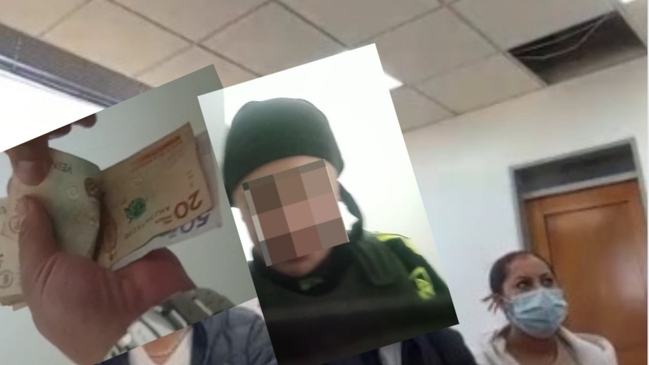 15 presuntos integrantes de tres redes delictivas, entre ellos dos integrantes de la Policía Nacional, fueron capturados y judicializados.