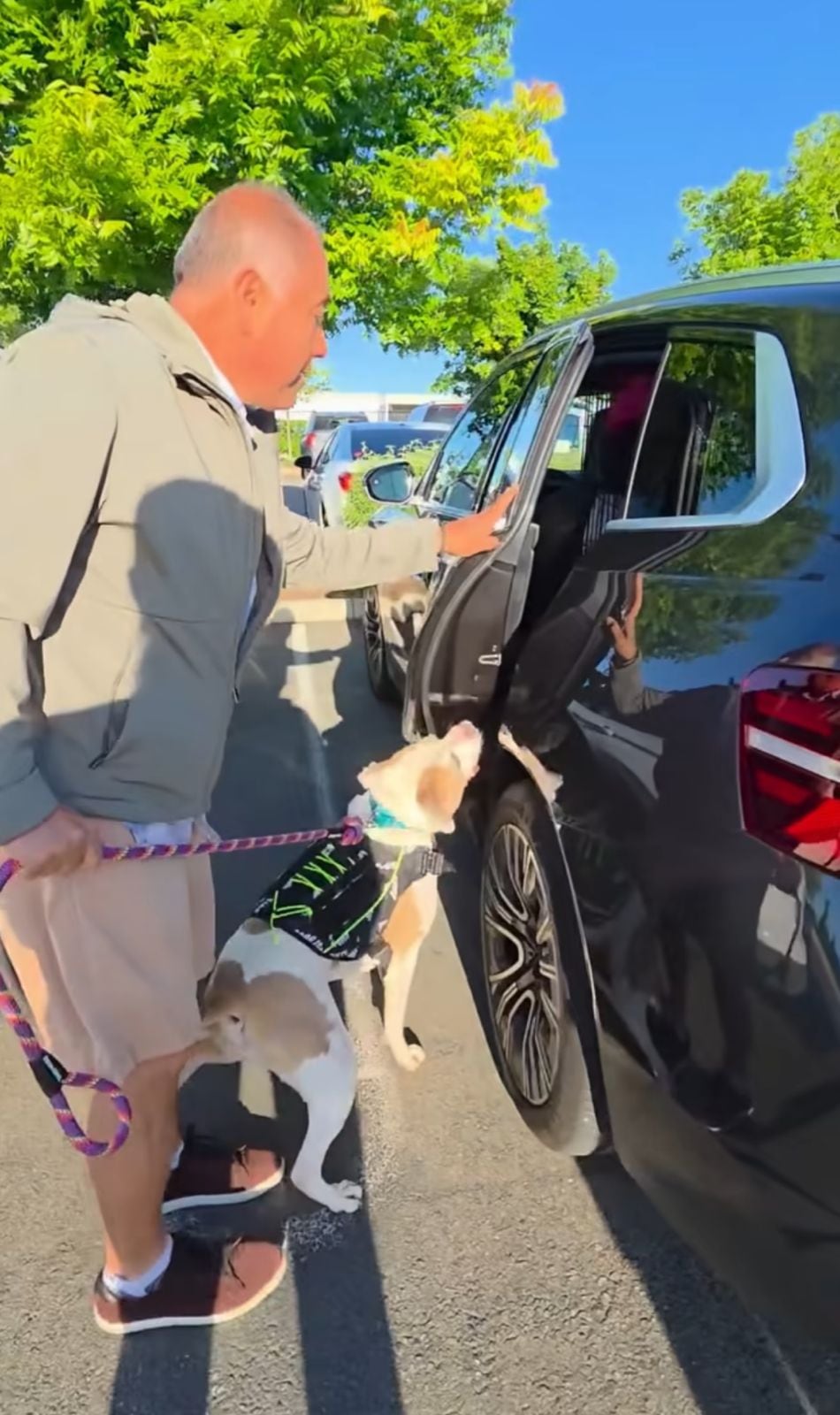 El voluntario adopta juntos a los dos perros más antiguos del refugio.