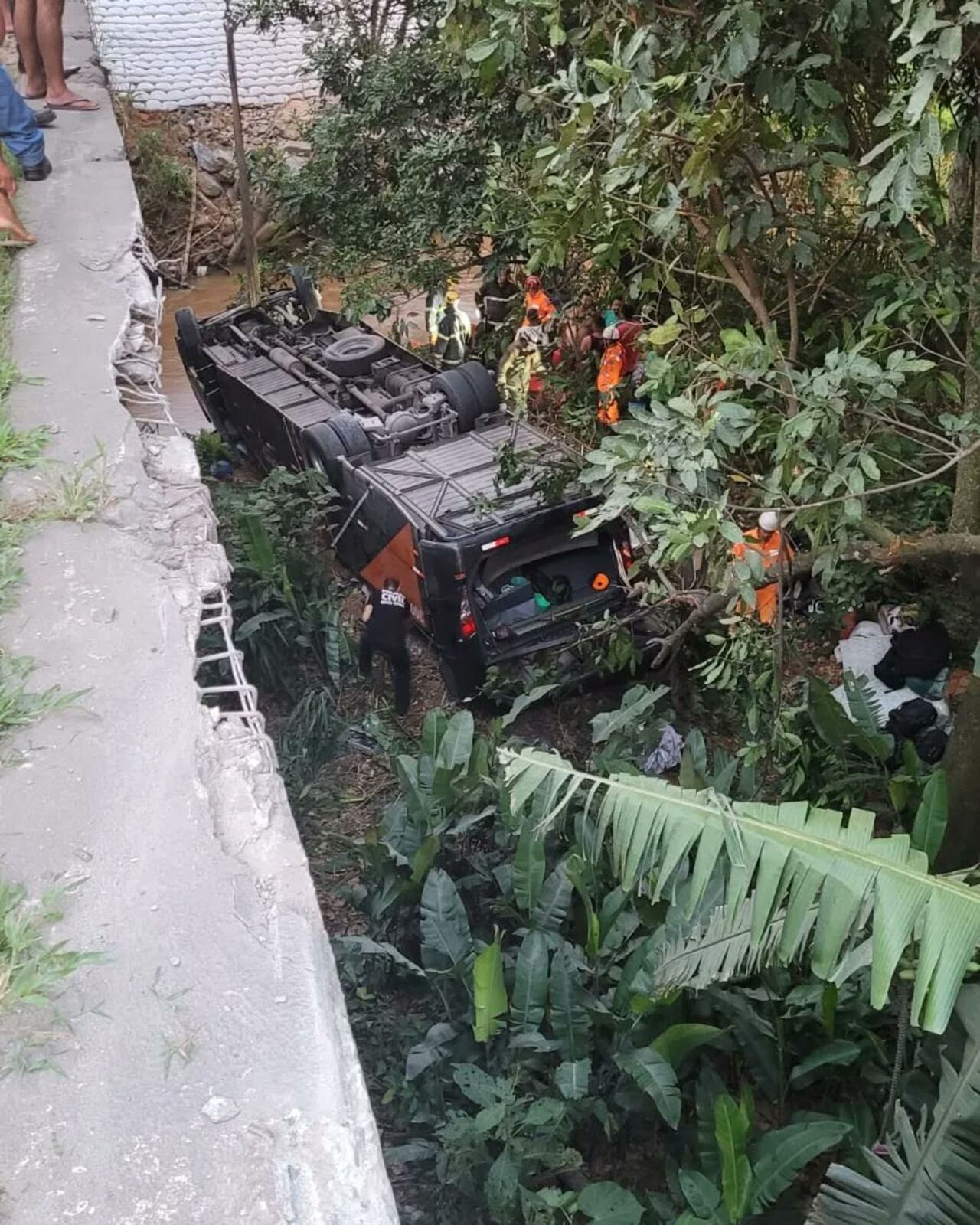Bus siniestrado