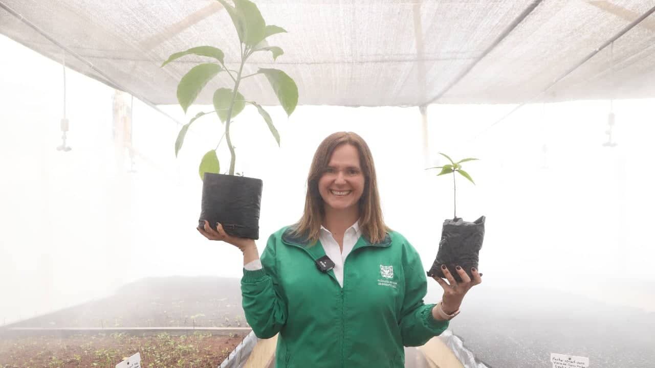 La secretaria de Ambiente, Carolina Urrutia inauguró el vivero. Algunos de los árboles a producir son: arboloco, corono, cajeto, roble, espino garbanzo, tuno esmeraldo, mano de oso, cerezo, alcaparro, laurel de hoja grande, arrayán blanco, entre otros.