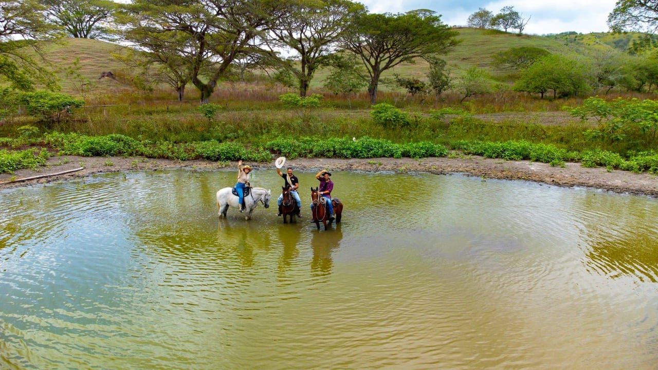 Zarzal, Valle del Cauca