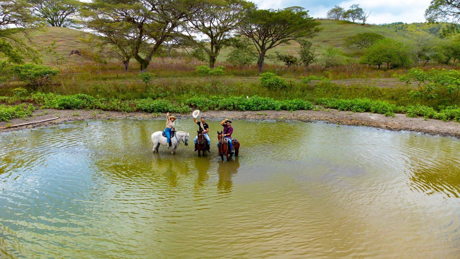 Zarzal, Valle del Cauca
